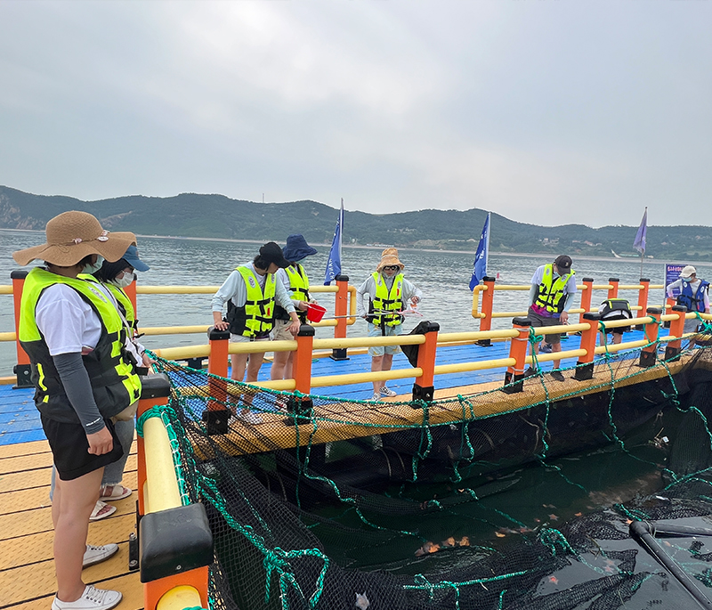 �����Ž�